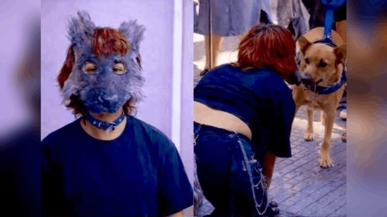 ¡Peligrosa tendencia! Una joven therian termina en el hospital tras ser mordida por un perro mientras actuaba como animal. ¿Falta de precaución?