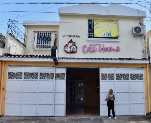 La sede de Clinicat CatHome en Santa Ana ofrece tecnología de diagnóstico avanzada para garantizar la salud de los michis de las familias salvadoreñas. Foto: Cortesía