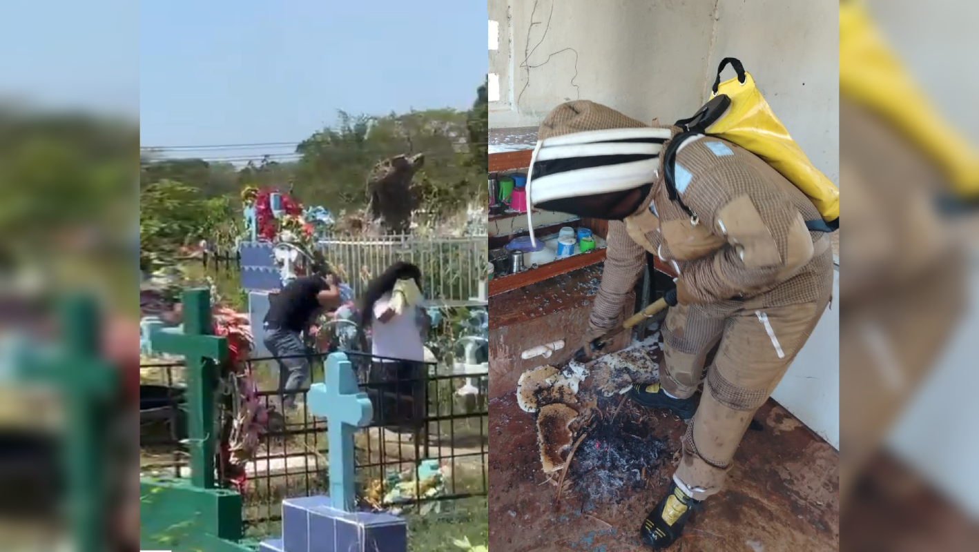 Dos ataques de abejas en Santiago Nonualco han dejado varios heridos. El primero en una escuela y el segundo en un cementerio. Autoridades piden precaución. Foto: Comandos de Salvamento.