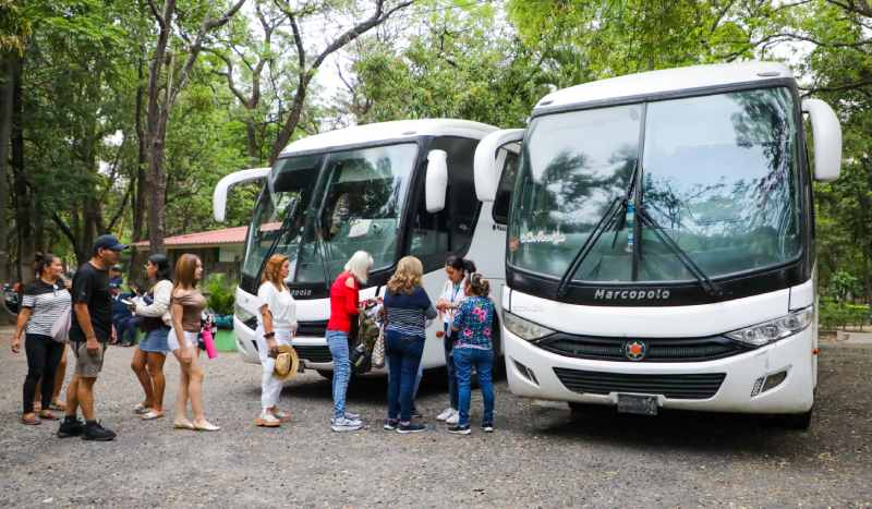 Expo Mango 2026 en Ichanmichen. Foto: SDP