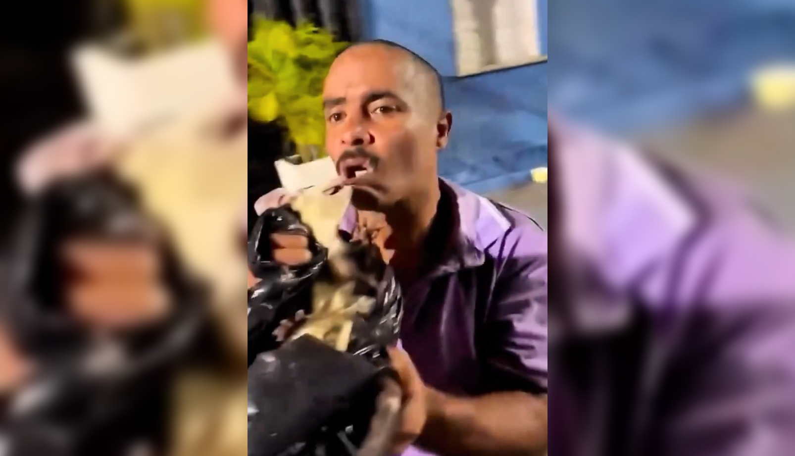 Un joven intentó besuquear a una zarigüeya para un video viral, pero el animal lo mordió con fuerza. Autoridades advierten sobre los riesgos de manipular animales silvestres. Foto: Cortesía.